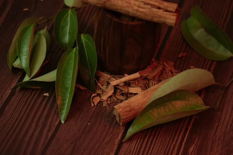 Ayurvedic Wellness Topics Readers Search For Often